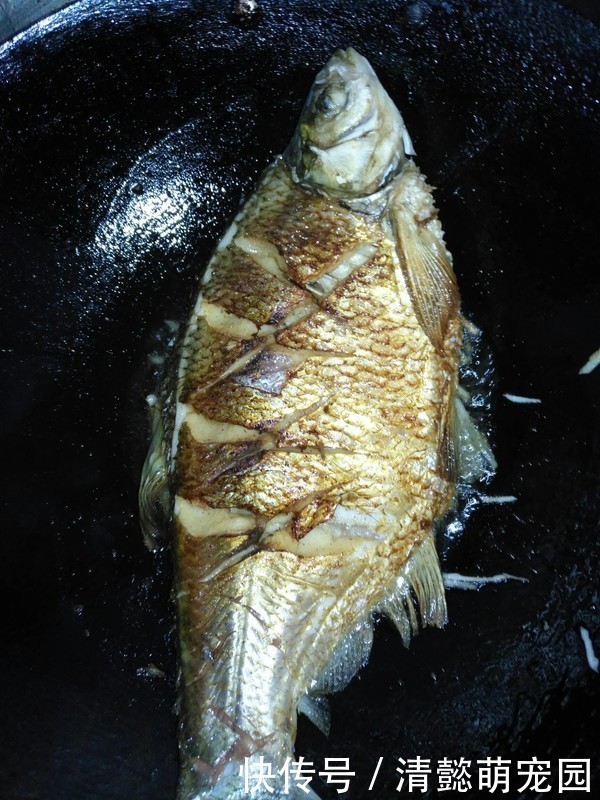 死对头|它是鱼腥的“死对头”,炖鱼时注意下,鱼肉更鲜嫩,一点都不腥!