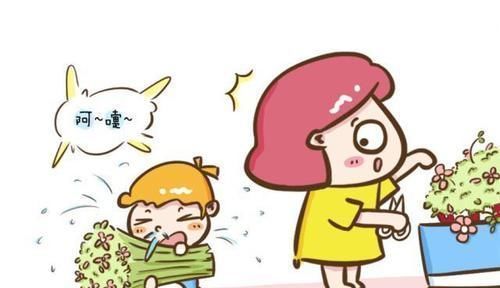 携带|携带病菌,传染疾病,别小看被蚊虫叮咬,出现这些情况要及时就医