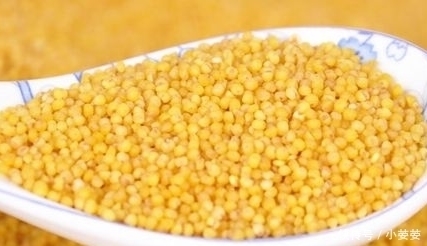 下锅|熬小米粥“最忌”直接下锅,多加1步,米油浓厚,粘稠好喝