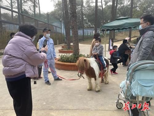 中年|花式过大年,近两日东湖接待游客39.4万人