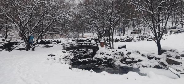 雪花儿|雪后小城，每一帧都美成屏保!