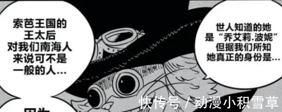 世界政府|海贼王:乔艾莉·波妮竟然是暴君熊的母亲,信息量太大