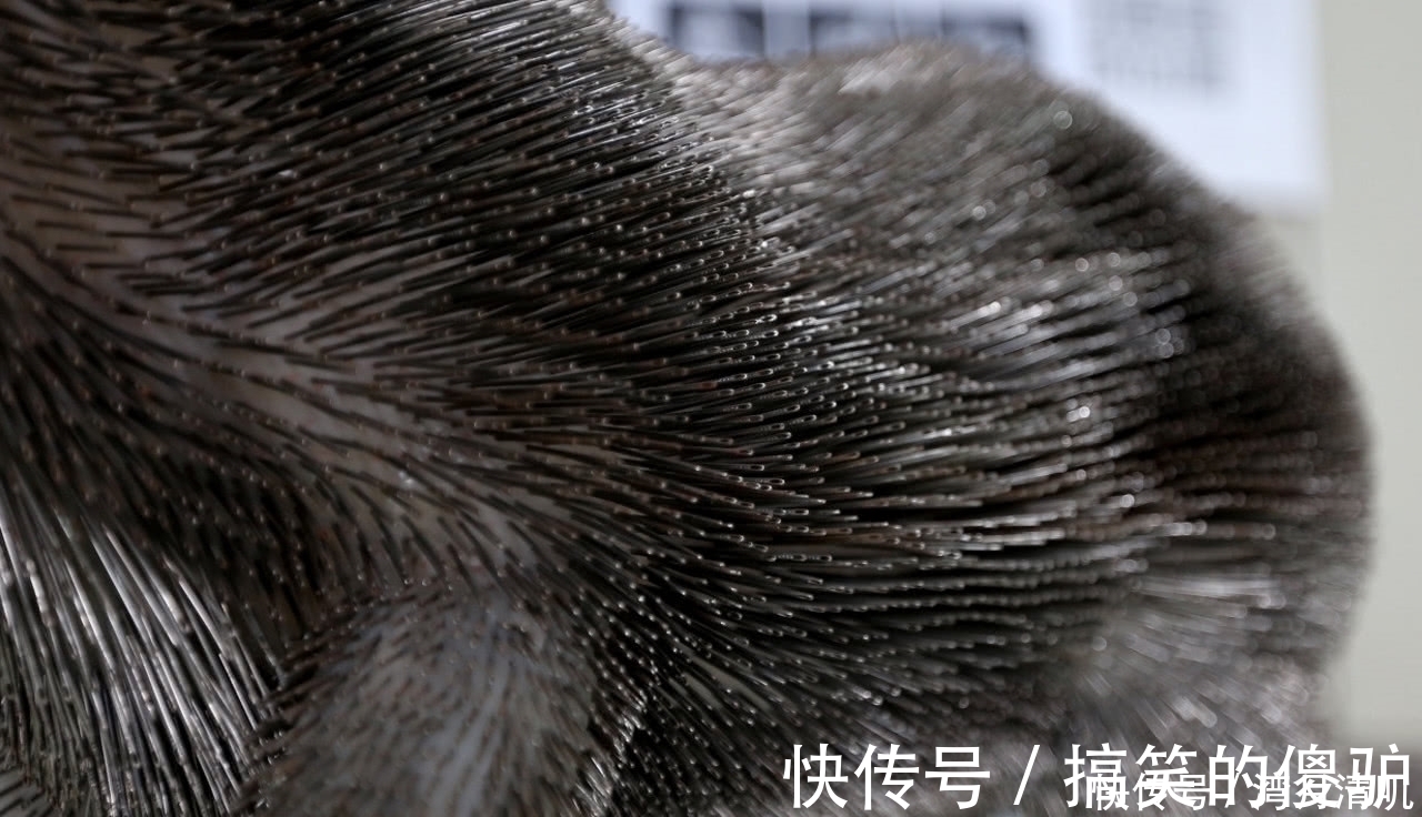 奇闻|奇闻:老师用一千万根缝衣针创作,成品活灵活现,展出时让人感动