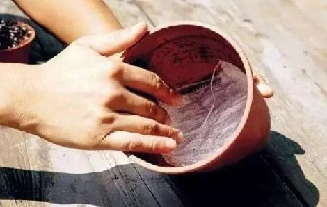 盆土|花盆里放一个小玩意,盆土常年透气不板结,盆栽长得壮开花多