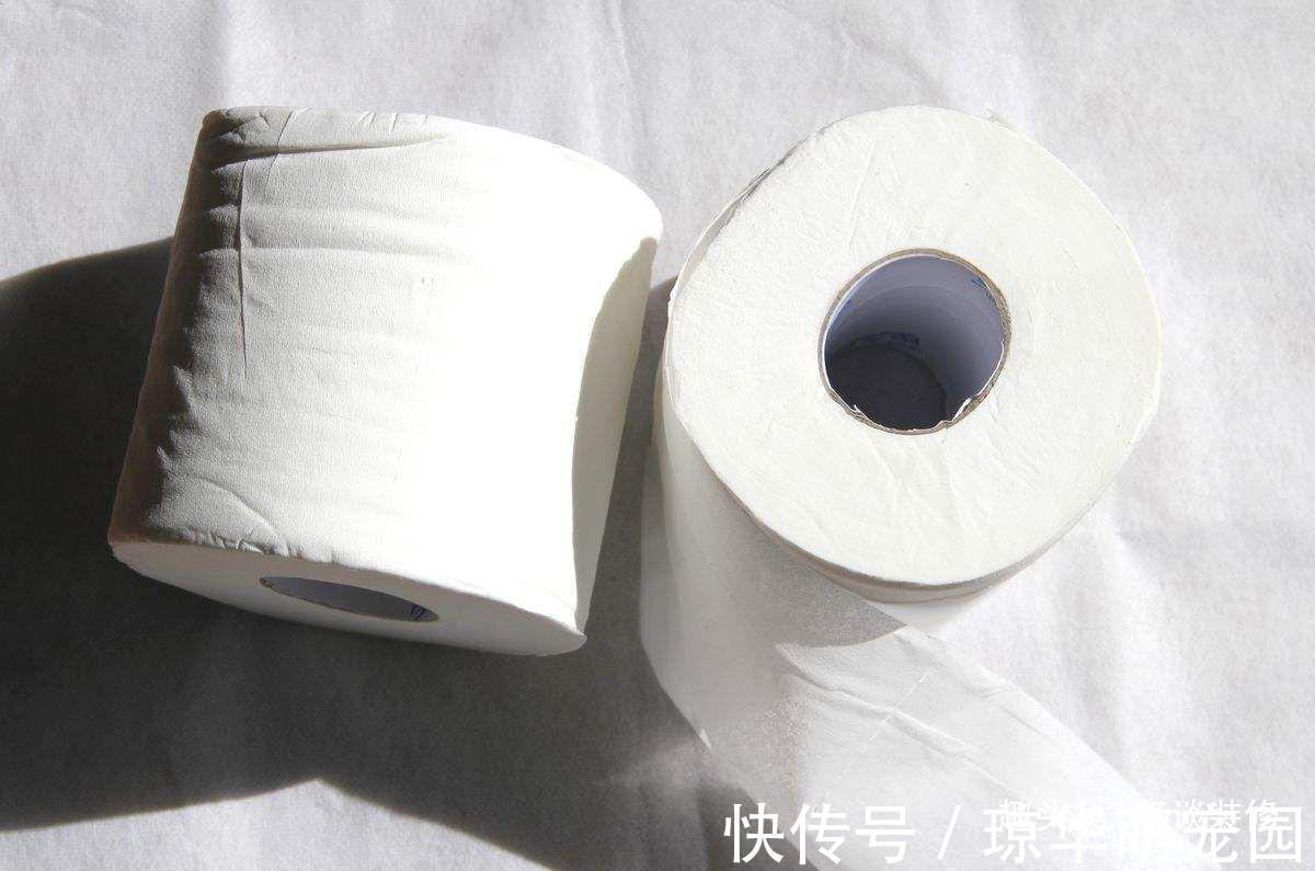 手纸|用过的卫生纸是丢进马桶冲掉,还是丢进纸篓?原来这些年都错了