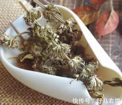 它不是杂草,如果长在你家路旁,那是福气,别不知