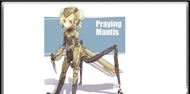 萝莉|当虫子动漫拟人化,蜈蚣化身软妹子,蟑螂成为小萝莉