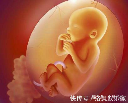 宝宝|将刚出生的宝宝放入水中,他还以为在羊水里,接下来的举动太萌了