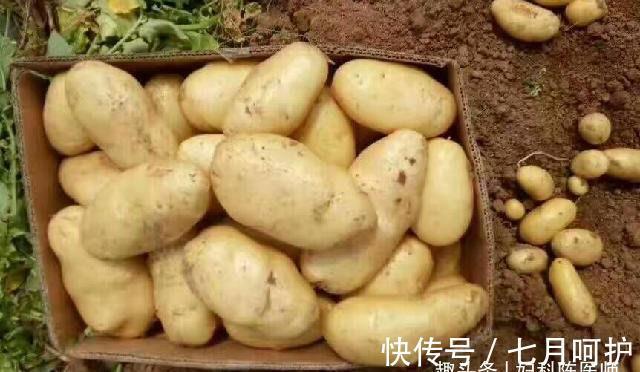 膳食纤维|聪明女性都在吃三种食物，补充营养，排毒养颜，爱吃就赚了！