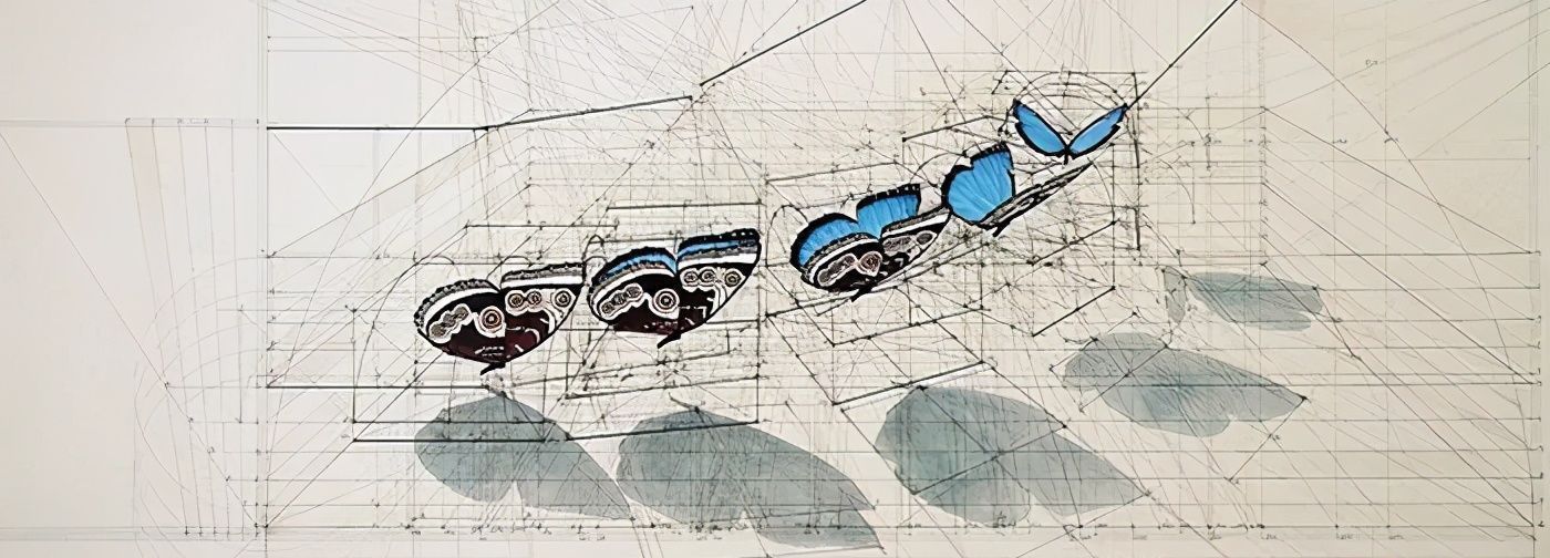 黄金比例!理工男花40年时间,用圆规画1000张画,黄金比例的拥护者