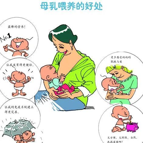 母乳|保护母乳喂养，共同承担责任