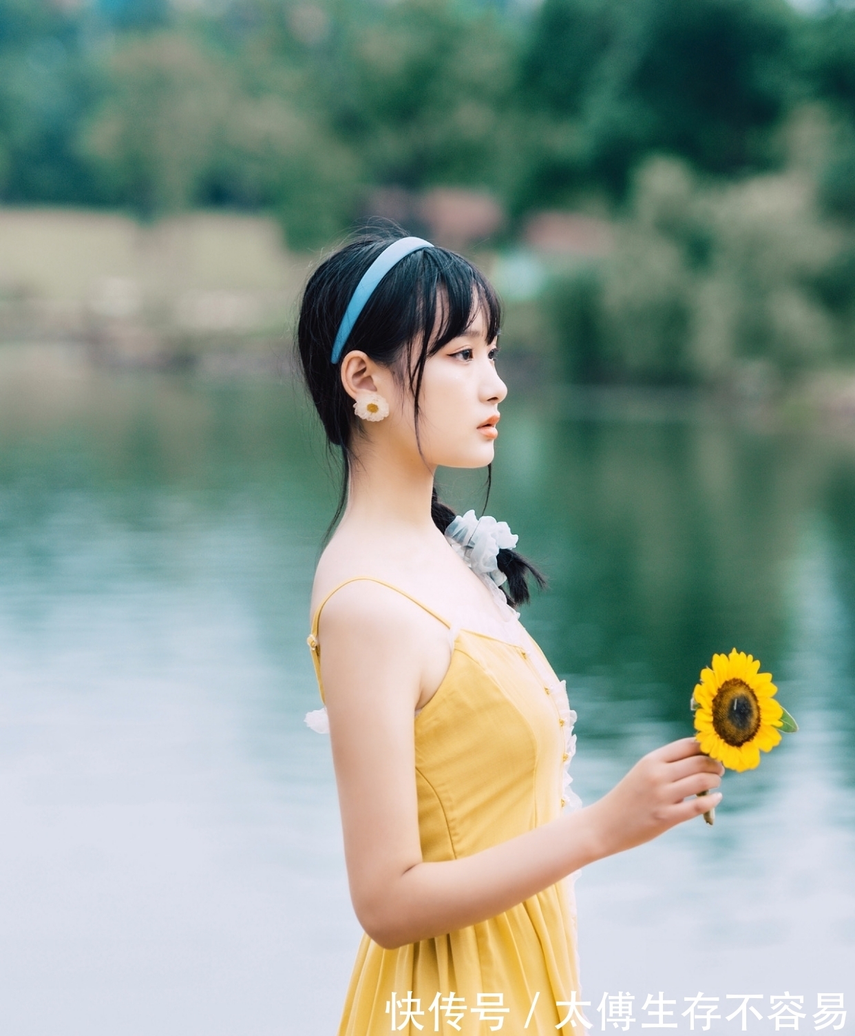 佳句|菊花·七绝与七律:几番辗转寻佳句,金甲满城书丽章