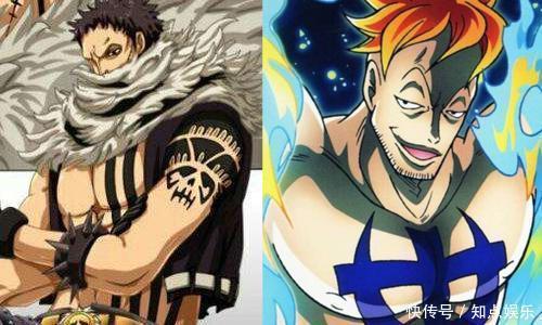 细想之下白胡子海贼团果然才是四皇最强 大妈团去估计下场会很惨