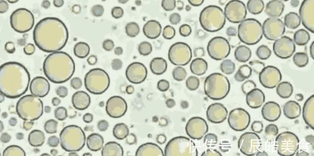 显微镜|当母乳被放大1000倍,纯净得让人难以置信,太神奇了!