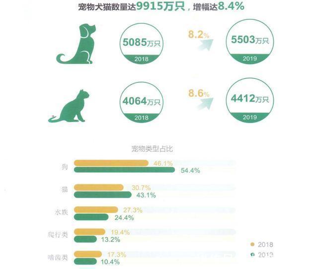 中型犬标准 中型犬标准