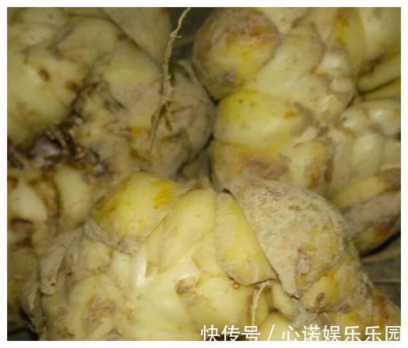 糖尿病|糖尿病最怕这几种碱性食物!每天吃一点,稳定血糖不升高