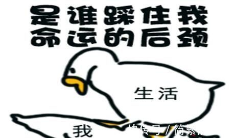 |幽默笑话:早上睡得正香呢,突然被一阵急促的敲门声震醒了