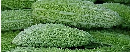 吃苦味|炒苦瓜时,要不要焯水去苦味?以下这种方法,炒出来清香可口