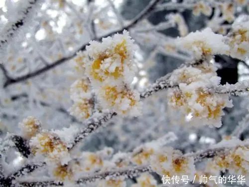 庐山雪后惊现百米冰瀑布，全国为之震撼！