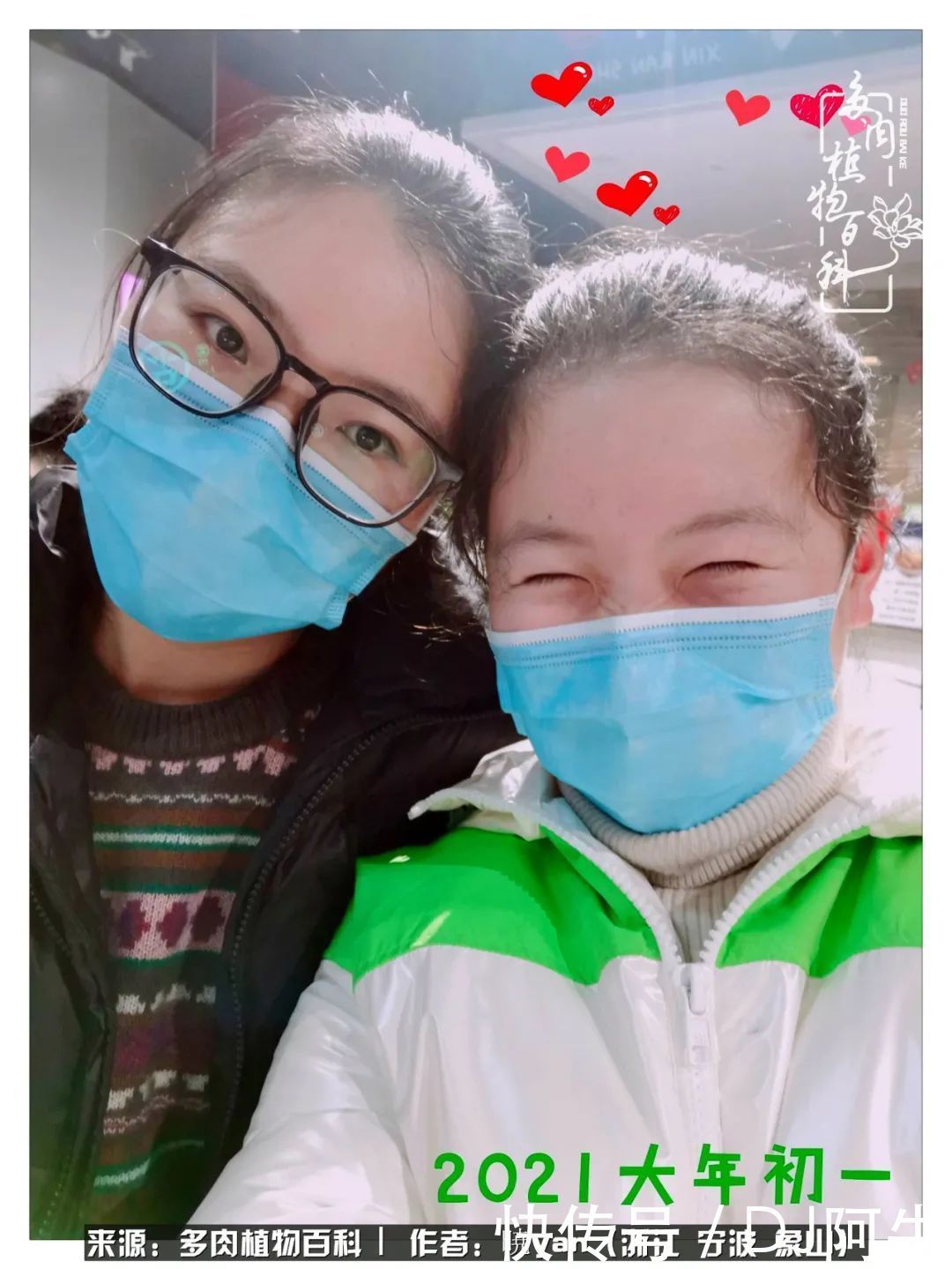 入多肉坑八年,始于初心,一切但求无愧于心