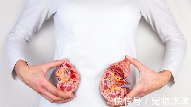 达格|二甲双胍、达格列净、西格列汀都能降血糖,肾病患者该选哪一种?