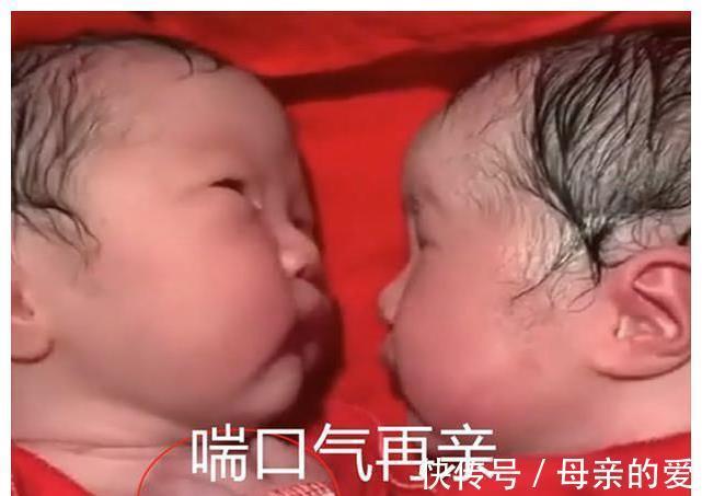 尿不湿|龙凤胎兄妹出生后一直亲,护理人员都没办法分开,画面太暖心了