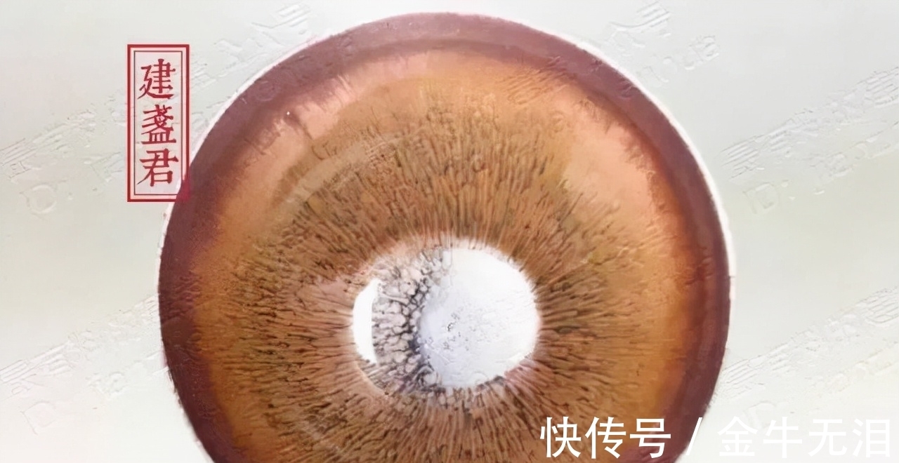 兔毫|如何看懂建盏?4个维度赏析建盏釉色