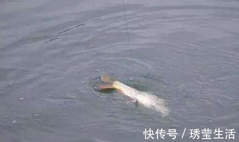 钓鱼天气和钓点的选择技巧，这些时机出钓，钓一次爽一次