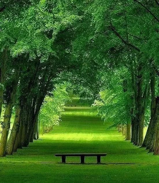 传来|太美了,世界照片今天终于传来,罕见至极,一睹为快