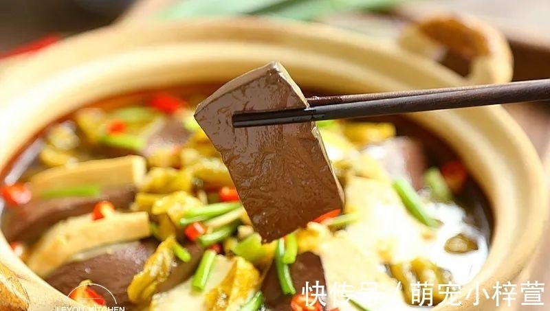 香葱|天冷时，一定要吃这一锅，酸爽开胃，没放肉，却比肉还好吃