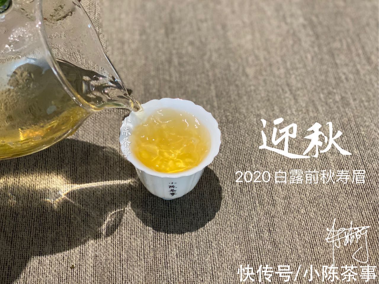 小技巧&白茶真的很难懂吗？学会这4点买茶小技巧，你就算入门了