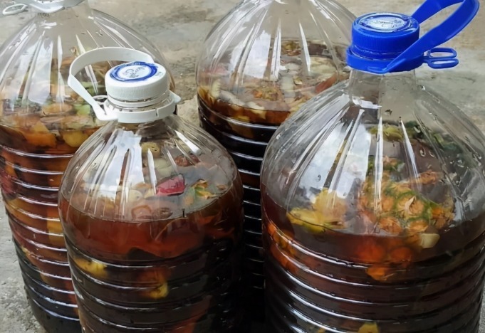 发酵|花盆土发硬，加上一碗水，轻松解决，土壤疏松肥力足