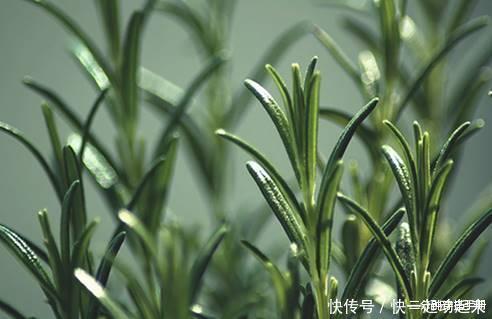 影响|爱挤痘痘的这些女星,现在皮肤都是什么样看这2个例子就知道了