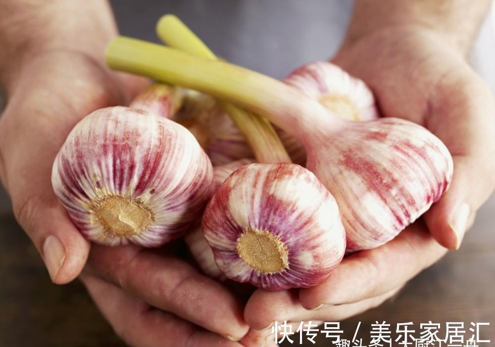 绞肉机|大蒜,是85岁钟南山院士推荐的健康食物,但很多人却吃错了