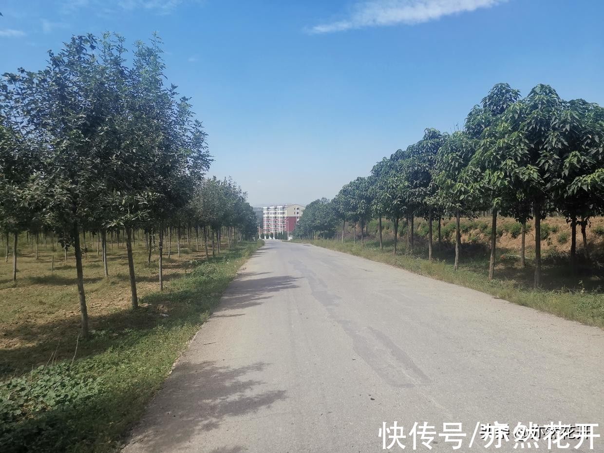 主线|故事写作：背景故事也是故事的一部分