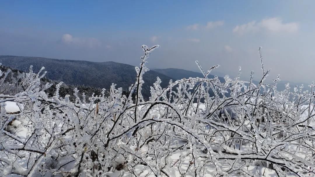 雾凇|绝了！天台冬季美景，宛如冰雪世界！一天看8小时都不够!