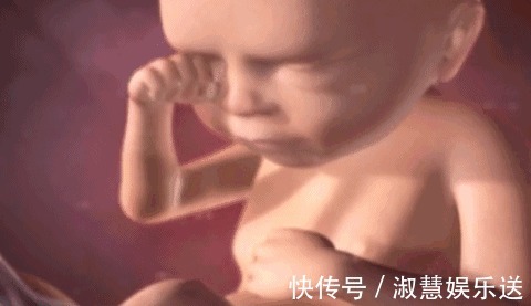 胎儿|除了睡觉,胎儿在妈妈肚子里干啥呢每个妈妈都应该看看