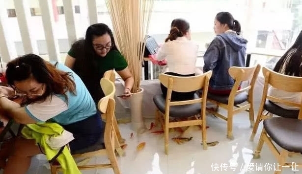 顾客|奇闻:咖啡馆地面养鱼走红网络,知道细节后,网友怒了