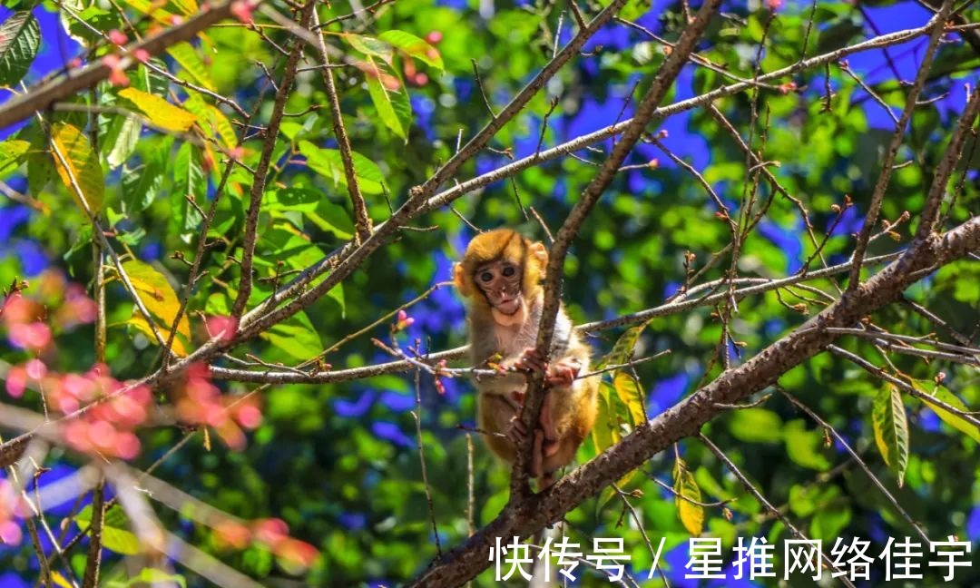 生态旅游区|腾冲市北海乡景区大盘点，赶快收藏起来吧~