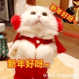 拜年|必存!新年拜年表情包丨第310期热门表情包