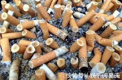 养花|什么药片水、黄豆水，都不如家里“2种灰”，养花杀菌灭虫、补肥