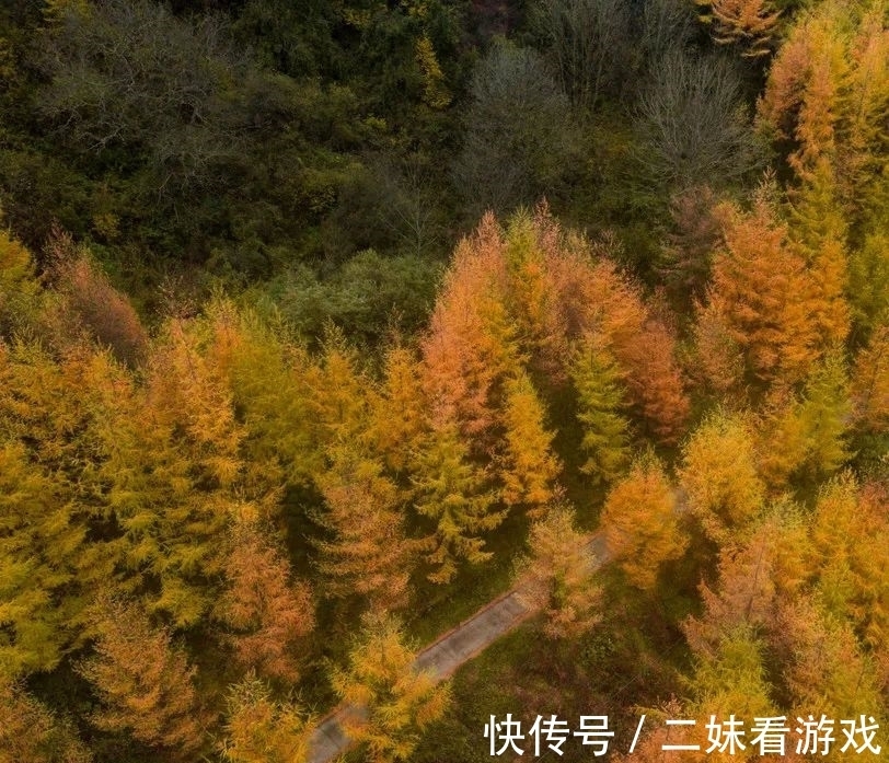 秘境|秦岭山野深处，误入雷阿诺的油画秘境