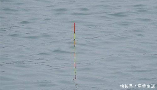 浮漂|钓鱼调漂方法虽然不同,想要做到调漂准确,这些步骤不能忽略!