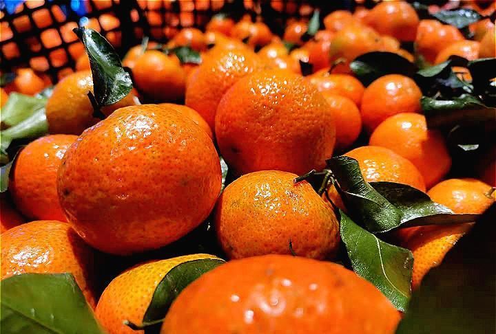 买砂糖橘，选有叶子还是没叶子的？果农：牢记“4不要”，别乱买
