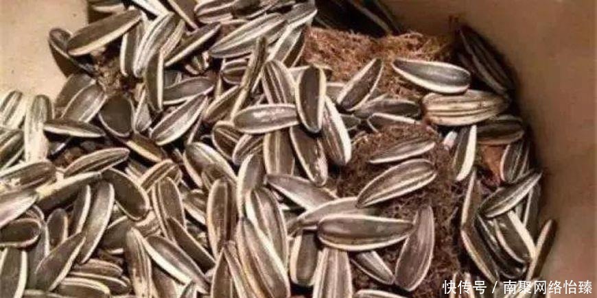 虎皮兰、君子兰、金钱树,用这1种方法,都能养爆盆