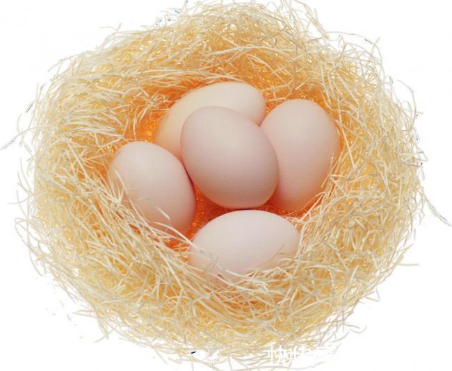 吸收率|老年人每天一颗鸡蛋,对动脉粥样硬化的发生影响有多大?