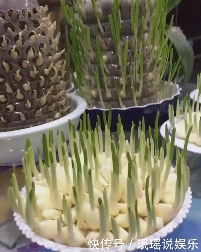 老妈把大蒜放进塑料瓶里,6天之后,满满的惊喜