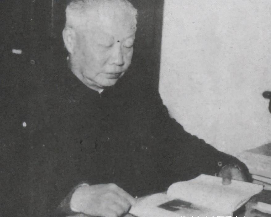 记忆力|孩子有以下特征,说明右脑发达,好好栽培很可能成为“学霸”