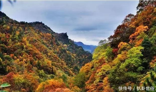 陕西秦岭深处藏了一个可媲美香格里拉和九寨沟的秘境，适合自驾去