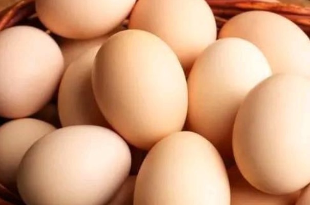 你买鸡蛋挑大的还是挑小的养殖户不小心说漏嘴,看完别再买错了